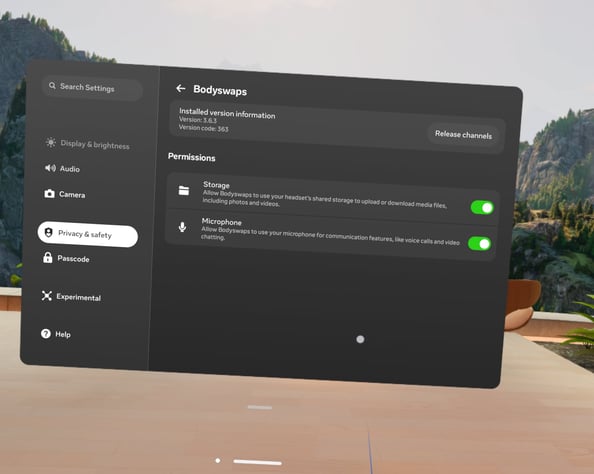 VR App Settings II