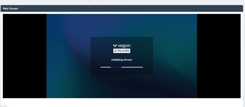 Streaming loading screen (provided by Vagon) with the "Vagon STREAMS" logo, displaying a "Initializing Stream" message and a partially filled progress bar.