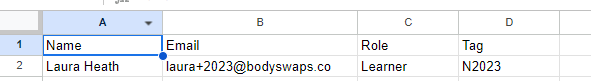 Screen capture shows an example of a Spreadsheet containing four columns labeled Name, Email, Role, and Tag